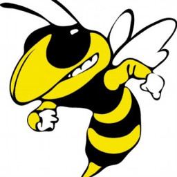 Ferndale Area High School mascot
