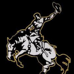 Woodson School mascot