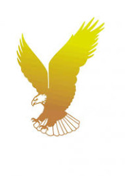 Jesse Jones High School mascot