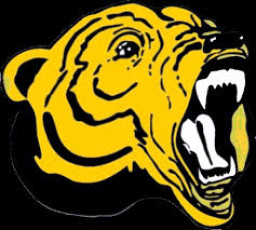 Hastings High School mascot