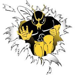 Sudan High School mascot