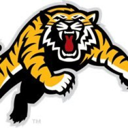 Sealy High School mascot