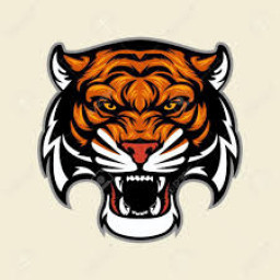 Choctaw County High School mascot