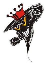 North Medford High School mascot