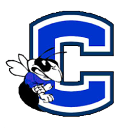 Chelsea High School mascot