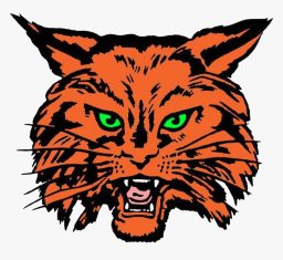Refugio High School mascot