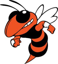 Chester High School mascot