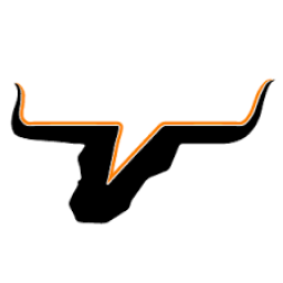 Viola High School mascot