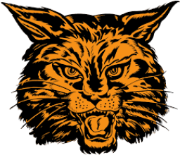 Lee High School mascot