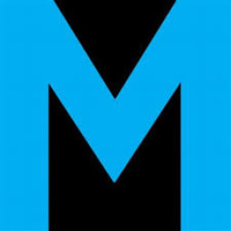 The McLean School Of Maryland mascot