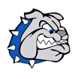 Berwick Area High School mascot