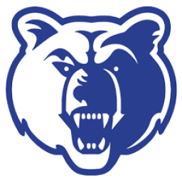 Camden County High School mascot