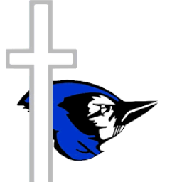 Central Catholic High School mascot