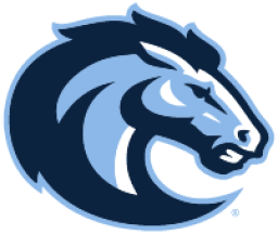 Christian Brothers Academy mascot