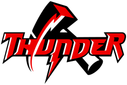 Medina High School mascot