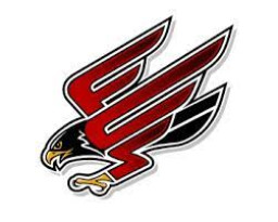 Hill School Of Fort Worth mascot