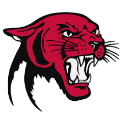 Richards High School mascot