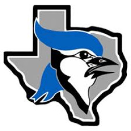 Needville High School mascot