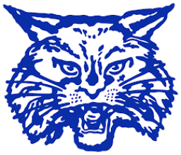 Childress High School mascot