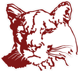 Mountain View Senior High School mascot