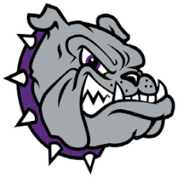 Chetek High School mascot