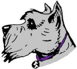 Terry High School mascot
