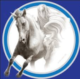 Randolph Union High School mascot