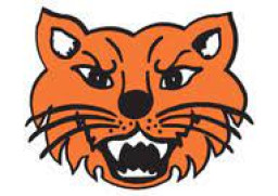Pilot Point High School mascot