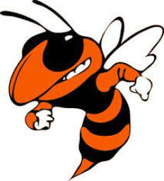 Laneville High School mascot