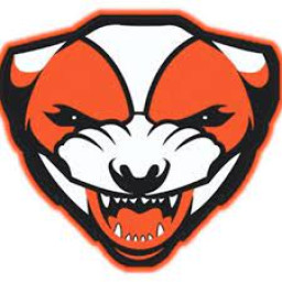 Karnes City High School mascot