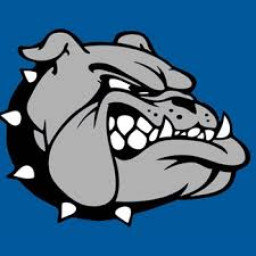 Lovell High School mascot