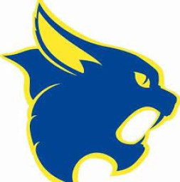 Somonauk High School mascot