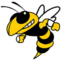 Palo Verde Valley High School mascot
