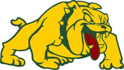 Burr & Burton Academy mascot