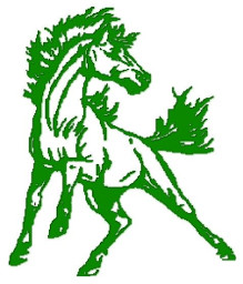 Melrose Mindoro High School mascot