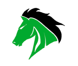 West Stanly High School mascot