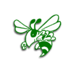 Woodstock Union High School mascot