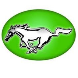 Overton High School mascot