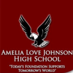A L Johnson High School mascot