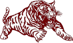 Dupo High School mascot