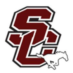 Salina Central High School mascot