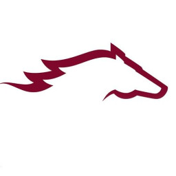 Foxcroft Academy mascot