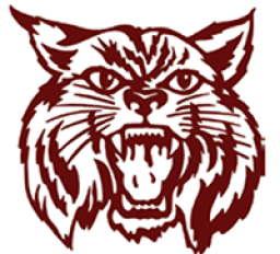 Harlem High School mascot
