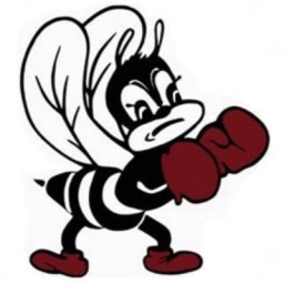 Bayonne High School mascot