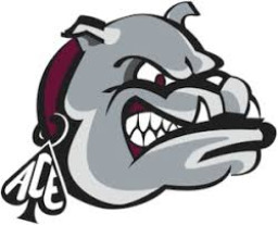 Lower Merion High School mascot