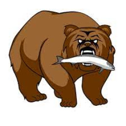 Martin L Olson High School mascot