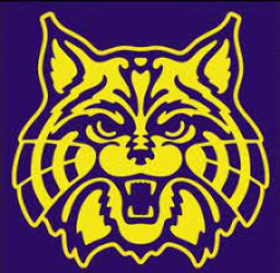 Mount Olive High School mascot