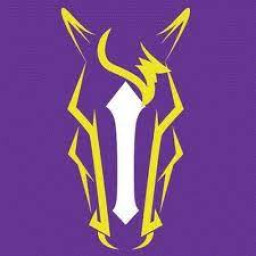 Spring Hill High School mascot