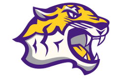 Benton High School mascot