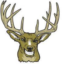 Bucksport High School mascot